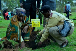 Chief of LARI location Alice Ngugi and Ms Mary Njeri Mbugua an AIC member planting the OAIC tree.